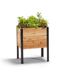 Load image into Gallery viewer, 18″ x 24″ Raised Garden Bed - 30" Tall