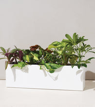 Load image into Gallery viewer, Stainless Steel Planter Box