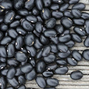 BEANS, Black Turtle Bush - 99¢ Cent Heirloom Seeds: Heirloom,Bulk	