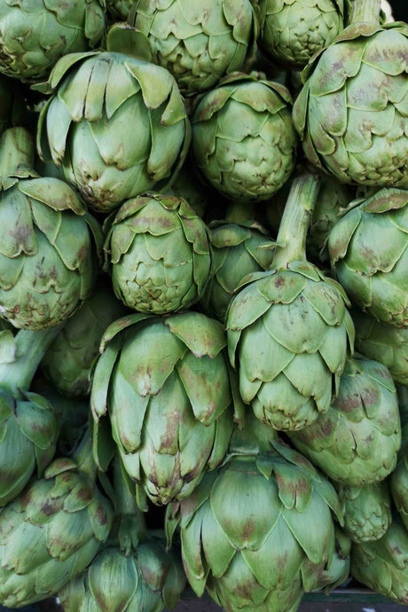 Unveiling the Green Gold: A Novice's Guide to Growing Artichokes