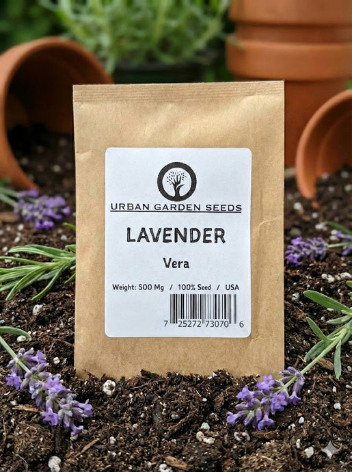 Don't Let Your Seeds Die: How to Store Your Collection for Years