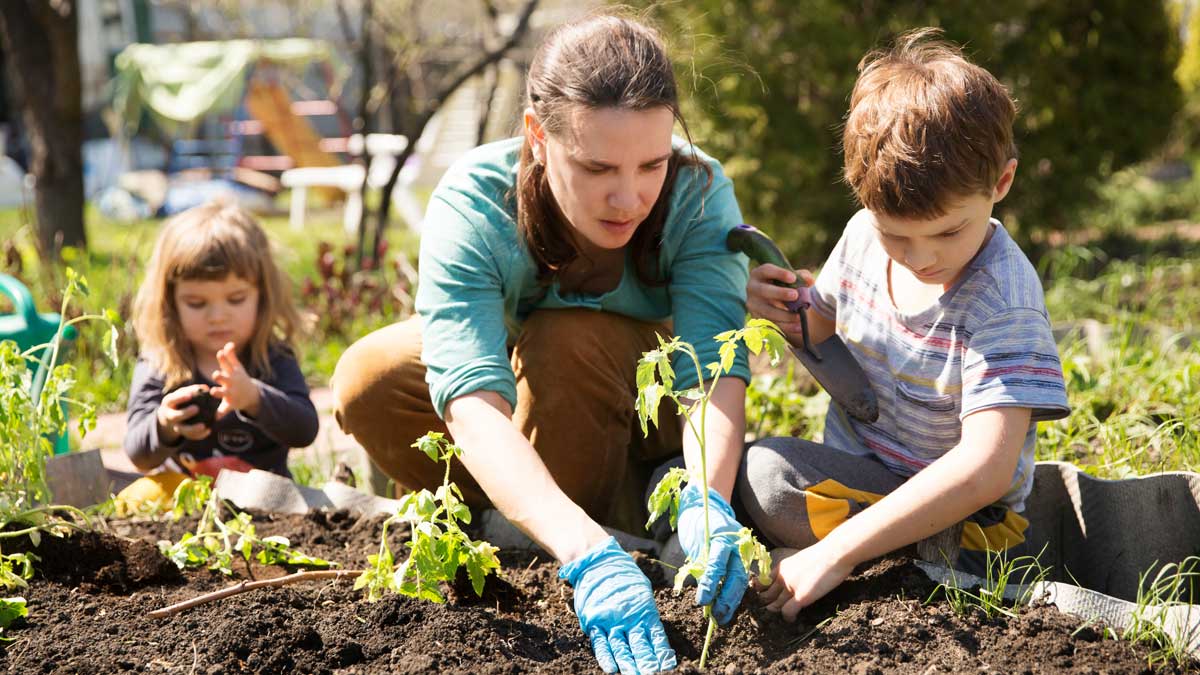 The Secret Life of Seeds: A Novice Gardener's Guide to Springtime Sorcery