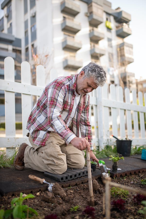 Unveiling the Secrets of Spring Gardening: A Novice's Guide to Blooming Success