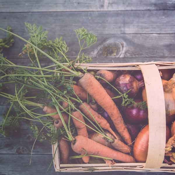 Heirloom Seeds