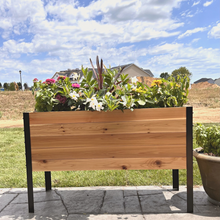 Load image into Gallery viewer, 18&quot; x 36&quot; Raised Garden Bed