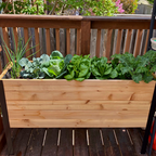 18" x 48" Raised Garden Bed