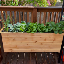 Load image into Gallery viewer, 18&quot; x 48&quot; Raised Garden Bed