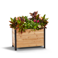 Load image into Gallery viewer, 18&quot; x 36&quot; Planter Box - 24&quot; Tall