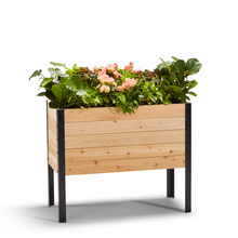 Load image into Gallery viewer, 18&quot; x 36&quot; Raised Garden Bed