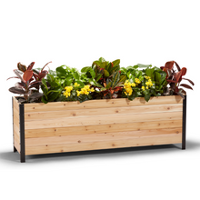 Load image into Gallery viewer, 18&quot; x 72&quot; Planter Box - 24&quot; Tall