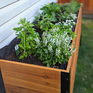 high planters box 18" x 72" Planter Box