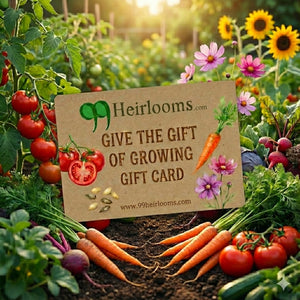 rare seeds gift card Gift Card – 99Heirlooms.com