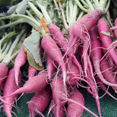 CARROT Seeds, Pulsar Pink