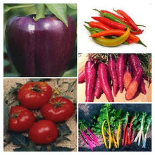 Load image into Gallery viewer, Colorful Garden Kit