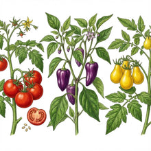 Load image into Gallery viewer, Colorful Garden Kit