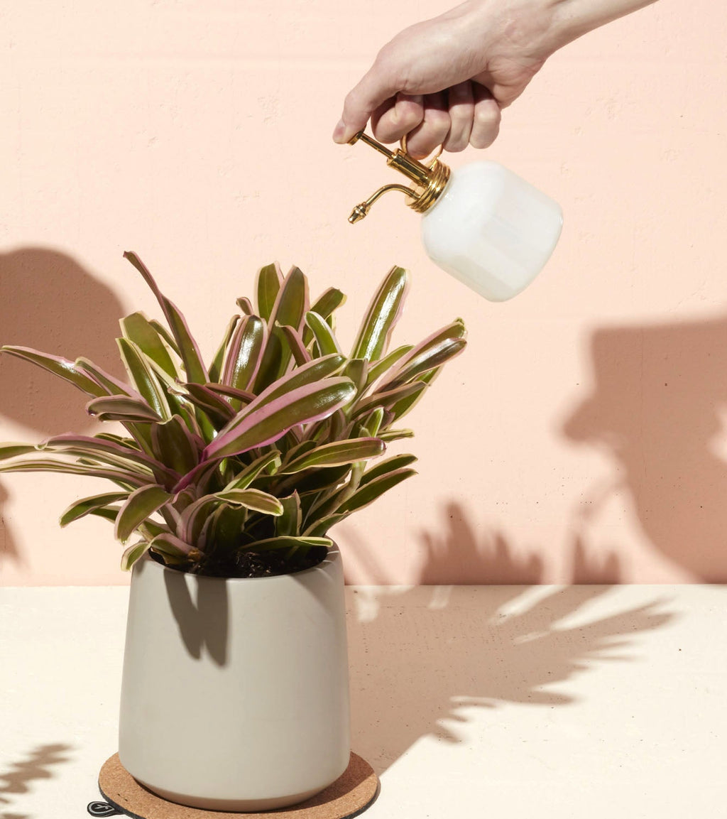 Garden Misters - 4 Colors