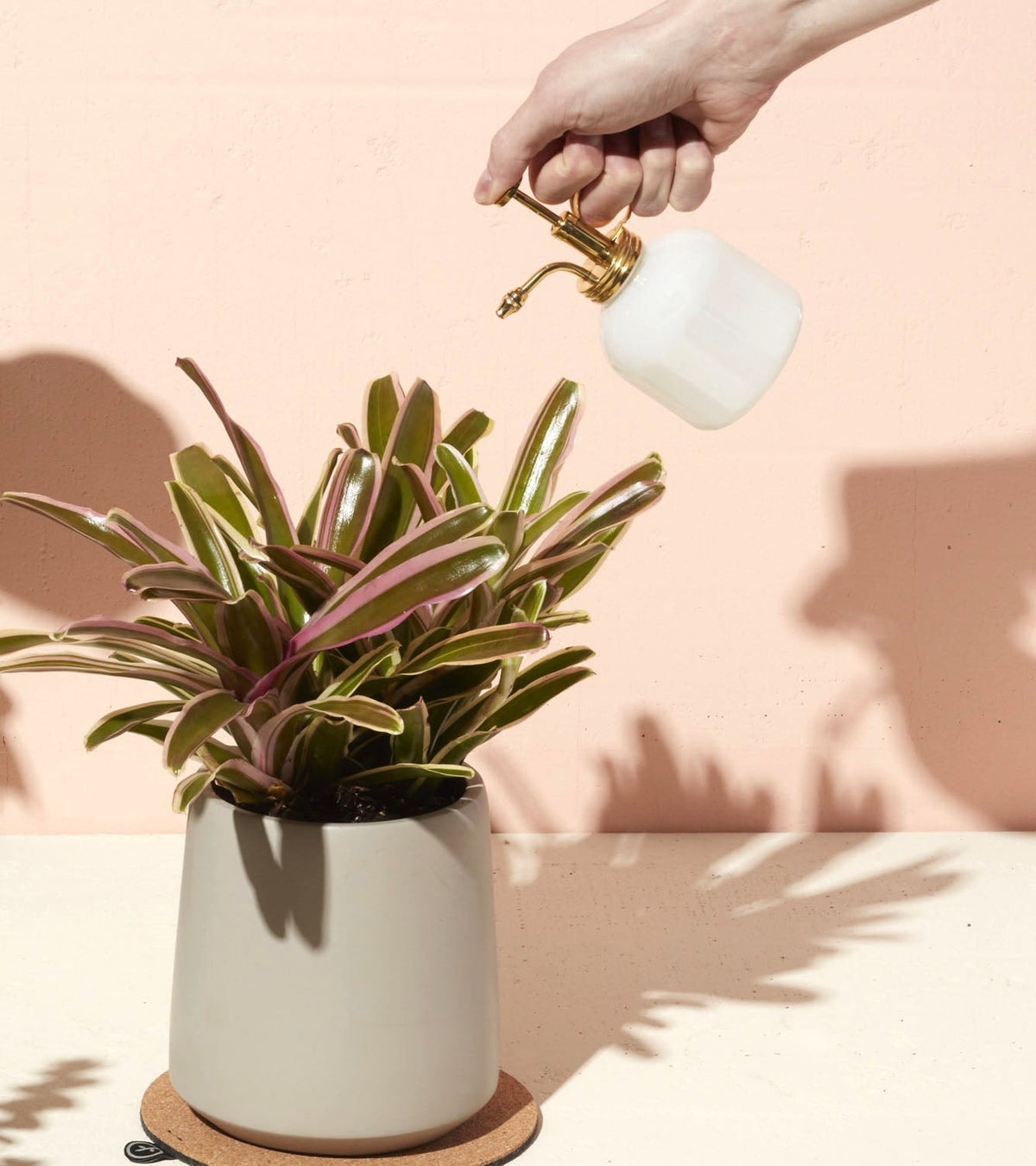 Garden Misters - 4 Colors