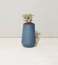 Load image into Gallery viewer, Tapered Tumbler Grow Kits