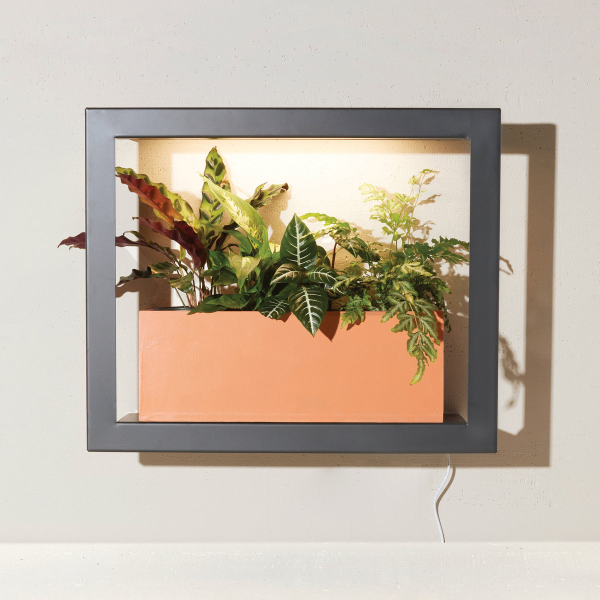 Smart Standard Growframe