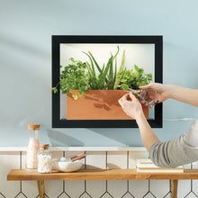 Load image into Gallery viewer, Smart Standard Growframe