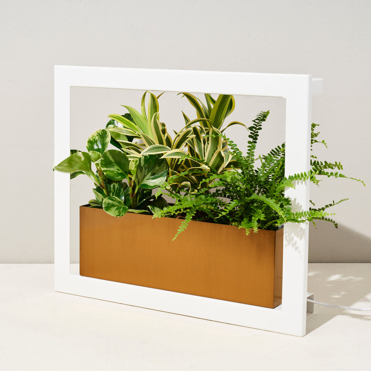 Smart Standard Growframe