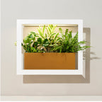 Smart Standard Growframe