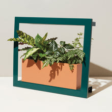 Load image into Gallery viewer, Smart Standard Growframe
