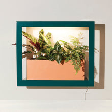 Load image into Gallery viewer, Smart Standard Growframe