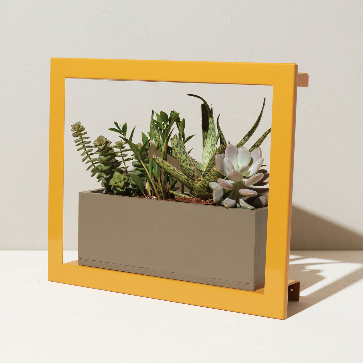 Smart Standard Growframe