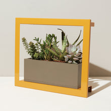 Load image into Gallery viewer, Smart Standard Growframe