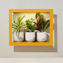 Load image into Gallery viewer, Smart Standard Growframe