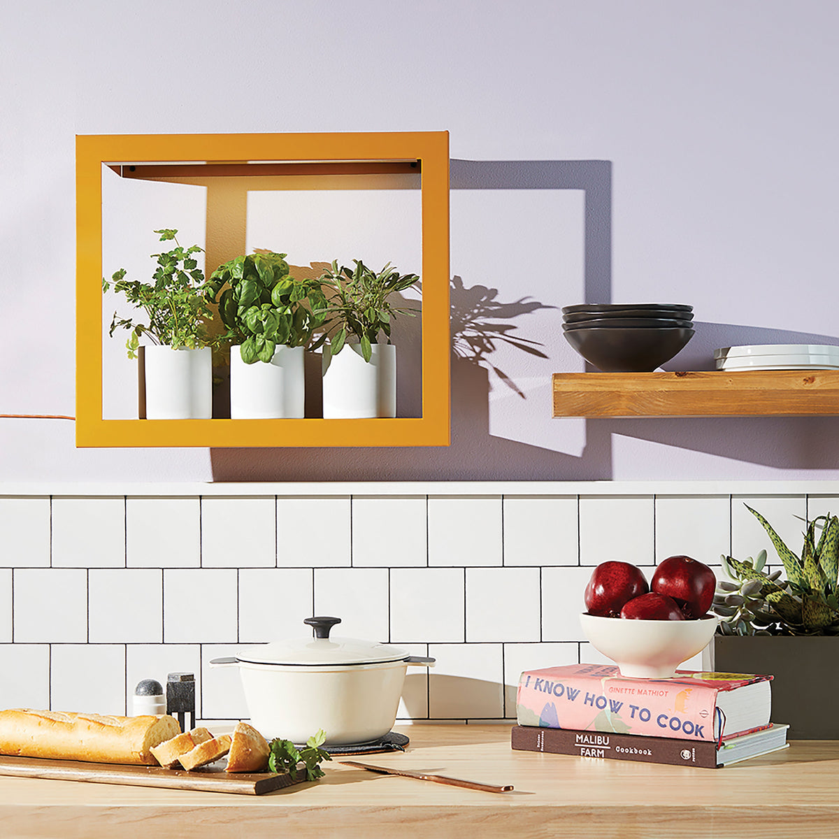 Smart Standard Growframe