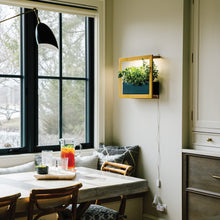 Load image into Gallery viewer, Smart Standard Growframe