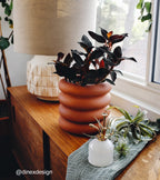 Garden Misters - 4 Colors