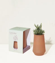 Load image into Gallery viewer, Tapered Tumbler Grow Kits