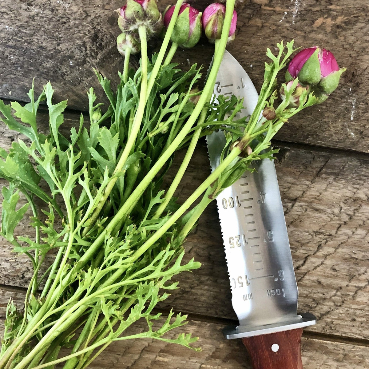 Hori Hori Garden Tool