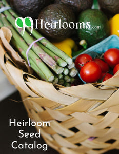 buy plant seeds online 20 Vegetable Seed Packets