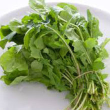 Load image into Gallery viewer, ARUGULA, Rocket - 99¢ Cent Heirloom Seeds: Herb	