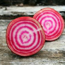 Load image into Gallery viewer, BEETS, Chioggia - 99¢ Cent Heirloom Seeds: Heirloom,Bulk	