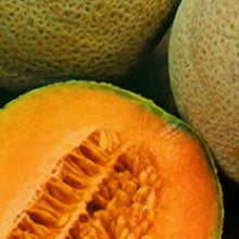 Load image into Gallery viewer, CANTALOUPE, Crenshaw - 99¢ Cent Heirloom Seeds: Heirloom,Bulk	