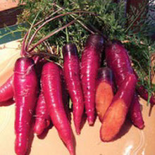 Load image into Gallery viewer, CARROT, Cosmic Purple - 99¢ Cent Heirloom Seeds: Heirloom	
