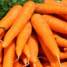 Load image into Gallery viewer, CARROT, Little Finger - 99¢ Cent Heirloom Seeds: Heirloom,Bulk	