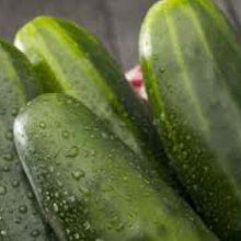 Load image into Gallery viewer, CUCUMBER, Straight Eight - 99¢ Cent Heirloom Seeds: Heirloom,Bulk	