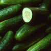 CUCUMBER, Marketmore