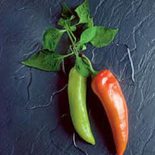 Load image into Gallery viewer, HOT PEPPER, Anaheim Chili - 99¢ Cent Heirloom Seeds: Heirloom,Bulk	