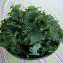 Load image into Gallery viewer, KALE, Premier - 99¢ Cent Heirloom Seeds: Heirloom,Bulk	
