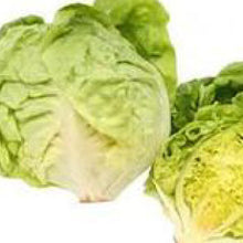 Load image into Gallery viewer, LETTUCE, Bibb - 99¢ Cent Heirloom Seeds: Heirloom,Bulk	