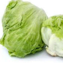 Load image into Gallery viewer, LETTUCE, Iceberg - 99¢ Cent Heirloom Seeds: Heirloom,Bulk	