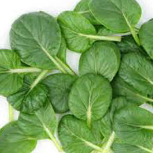 Load image into Gallery viewer, MUSTARD, Tatsoi - 99¢ Cent Heirloom Seeds: Heirloom,Bulk	