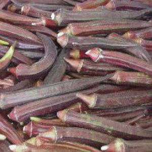 OKRA, Red Burgundy - 99¢ Cent Heirloom Seeds: Heirloom,Bulk	